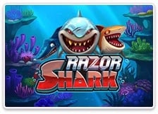 Razor Shark