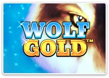 Wolf Gold
